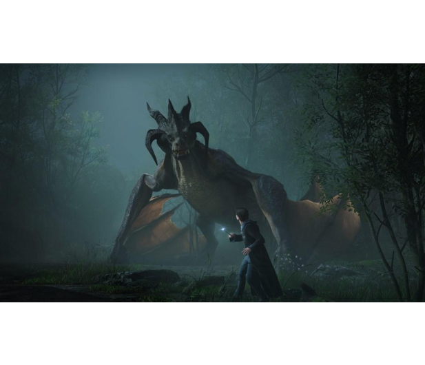 Xbox Dziedzictwo Hogwartu - 1067172 - zdjęcie 2
